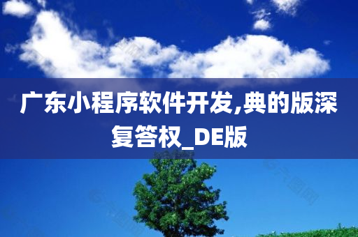 广东小程序软件开发,典的版深复答权_DE版