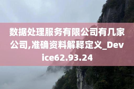 数据处理服务有限公司有几家公司,准确资料解释定义_Device62.93.24