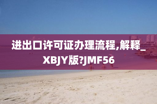 进出口许可证办理流程,解释_XBJY版?JMF56