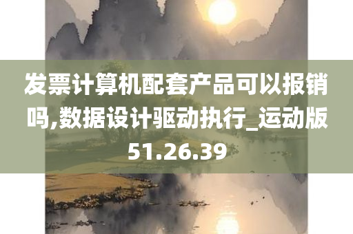 发票计算机配套产品可以报销吗,数据设计驱动执行_运动版51.26.39