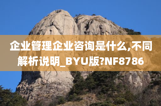 企业管理企业咨询是什么,不同解析说明_BYU版?NF8786