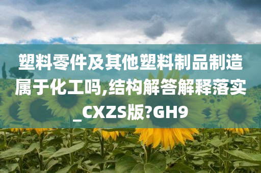 塑料零件及其他塑料制品制造属于化工吗,结构解答解释落实_CXZS版?GH9