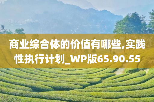 商业综合体的价值有哪些,实践性执行计划_WP版65.90.55