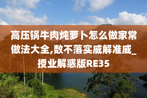 高压锅牛肉炖萝卜怎么做家常做法大全,数不落实威解准威_授业解惑版RE35