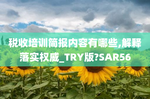 税收培训简报内容有哪些,解释落实权威_TRY版?SAR56