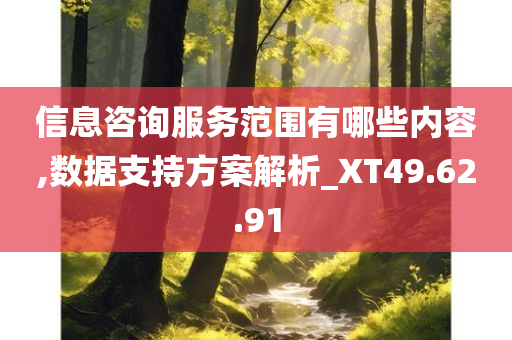 信息咨询服务范围有哪些内容,数据支持方案解析_XT49.62.91