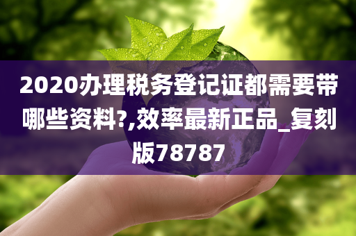 2020办理税务登记证都需要带哪些资料?,效率最新正品_复刻版78787