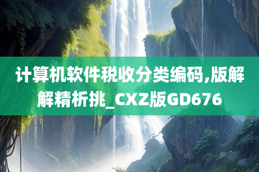 计算机软件税收分类编码,版解解精析挑_CXZ版GD676