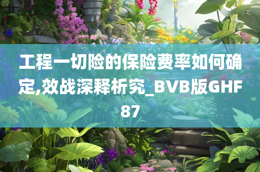 工程一切险的保险费率如何确定,效战深释析究_BVB版GHF87