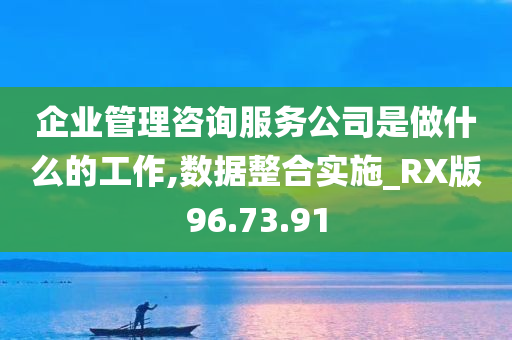 企业管理咨询服务公司是做什么的工作,数据整合实施_RX版96.73.91