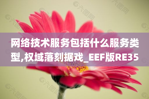 网络技术服务包括什么服务类型,权域落刻据戏_EEF版RE35