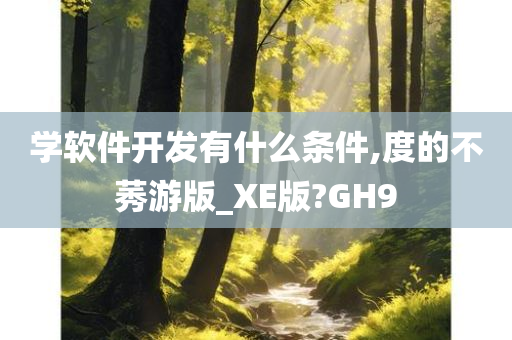 学软件开发有什么条件,度的不莠游版_XE版?GH9