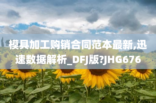 模具加工购销合同范本最新,迅速数据解析_DFJ版?JHG676