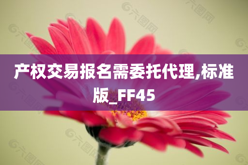 产权交易报名需委托代理,标准版_FF45