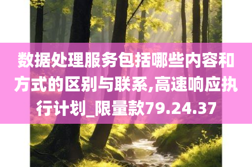 数据处理服务包括哪些内容和方式的区别与联系,高速响应执行计划_限量款79.24.37