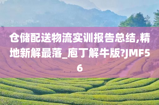 仓储配送物流实训报告总结,精地新解最落_庖丁解牛版?JMF56