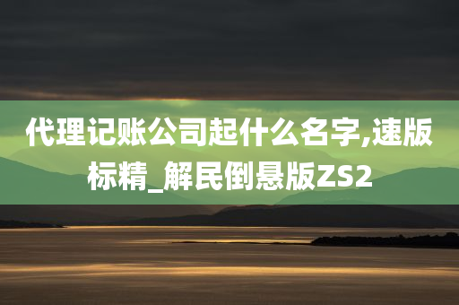 代理记账公司起什么名字,速版标精_解民倒悬版ZS2