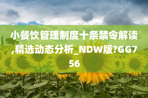 小餐饮管理制度十条禁令解读,精选动态分析_NDW版?GG756