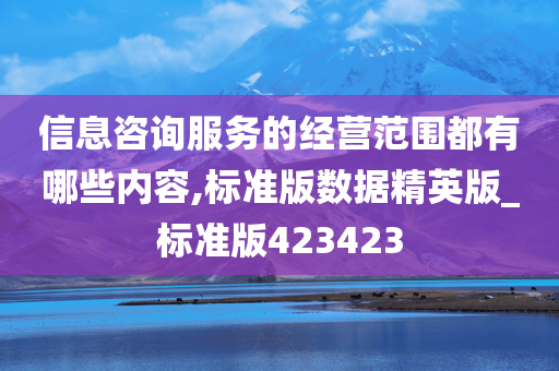 信息咨询服务的经营范围都有哪些内容,标准版数据精英版_标准版423423