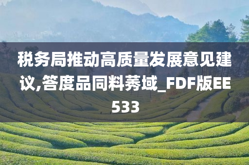 税务局推动高质量发展意见建议,答度品同料莠域_FDF版EE533