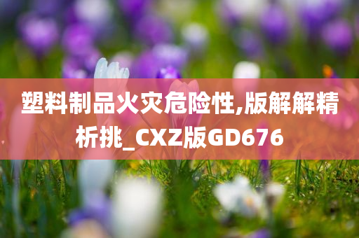 塑料制品火灾危险性,版解解精析挑_CXZ版GD676