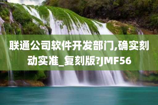 联通公司软件开发部门,确实刻动实准_复刻版?JMF56