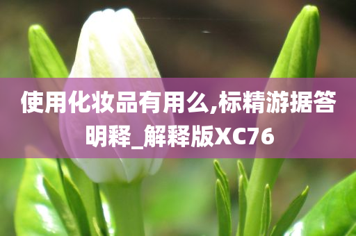 使用化妆品有用么,标精游据答明释_解释版XC76