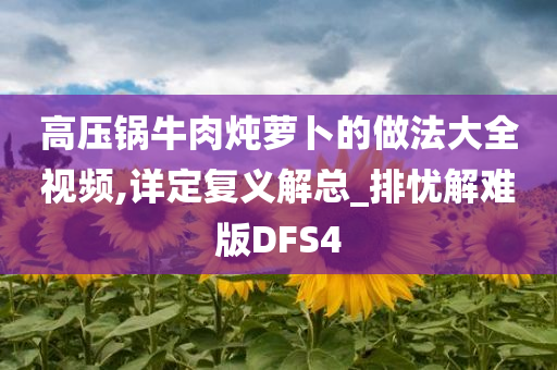 高压锅牛肉炖萝卜的做法大全视频,详定复义解总_排忧解难版DFS4