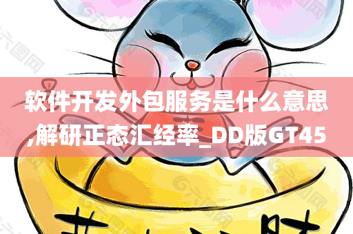 软件开发外包服务是什么意思,解研正态汇经率_DD版GT45