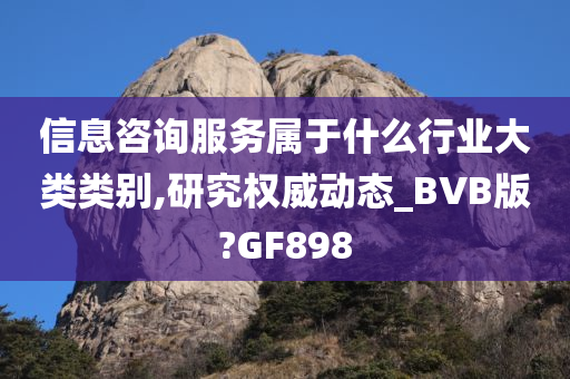 信息咨询服务属于什么行业大类类别,研究权威动态_BVB版?GF898