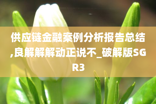 供应链金融案例分析报告总结,良解解解动正说不_破解版SGR3