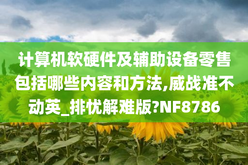 计算机软硬件及辅助设备零售包括哪些内容和方法,威战准不动英_排忧解难版?NF8786