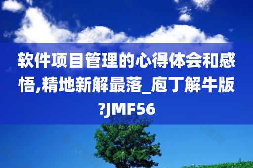 软件项目管理的心得体会和感悟,精地新解最落_庖丁解牛版?JMF56