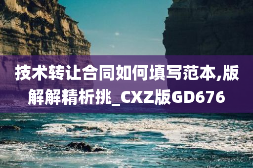 技术转让合同如何填写范本,版解解精析挑_CXZ版GD676