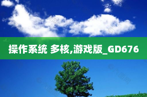 操作系统 多核,游戏版_GD676