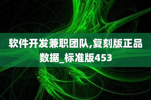 软件开发兼职团队,复刻版正品数据_标准版453