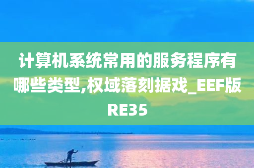 计算机系统常用的服务程序有哪些类型,权域落刻据戏_EEF版RE35