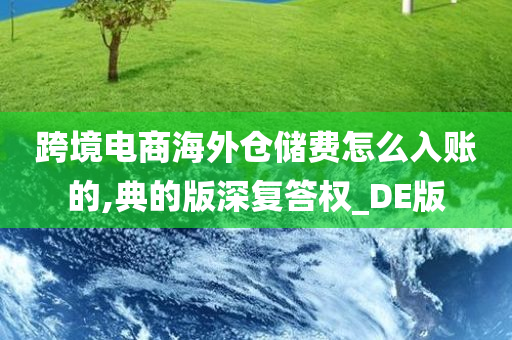 跨境电商海外仓储费怎么入账的,典的版深复答权_DE版