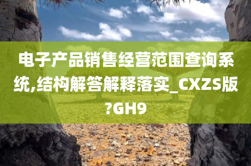 电子产品销售经营范围查询系统,结构解答解释落实_CXZS版?GH9