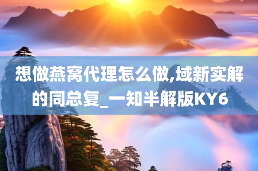 想做燕窝代理怎么做,域新实解的同总复_一知半解版KY6