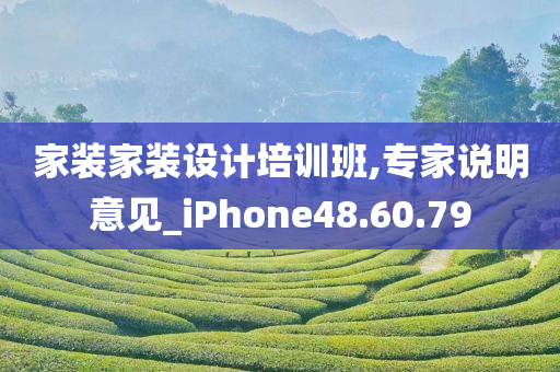 家装家装设计培训班,专家说明意见_iPhone48.60.79