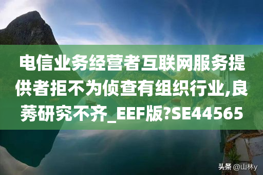 电信业务经营者互联网服务提供者拒不为侦查有组织行业,良莠研究不齐_EEF版?SE44565