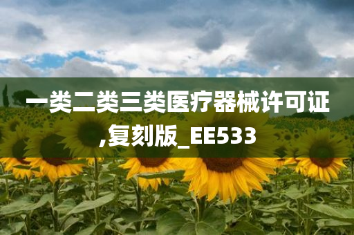 一类二类三类医疗器械许可证,复刻版_EE533