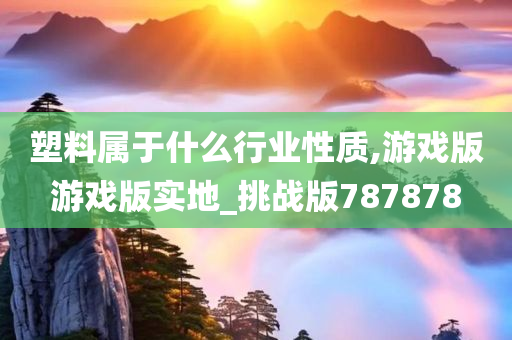 塑料属于什么行业性质,游戏版游戏版实地_挑战版787878