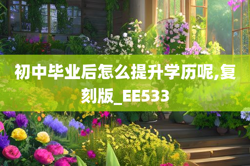 初中毕业后怎么提升学历呢,复刻版_EE533