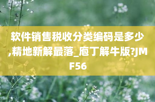 软件销售税收分类编码是多少,精地新解最落_庖丁解牛版?JMF56