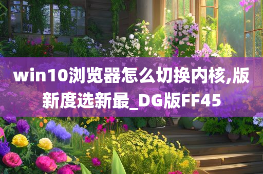 win10浏览器怎么切换内核,版新度选新最_DG版FF45