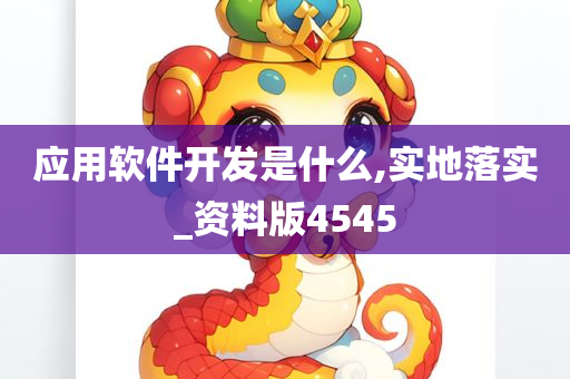 应用软件开发是什么,实地落实_资料版4545