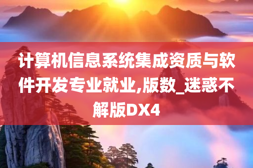 计算机信息系统集成资质与软件开发专业就业,版数_迷惑不解版DX4