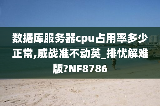 数据库服务器cpu占用率多少正常,威战准不动英_排忧解难版?NF8786